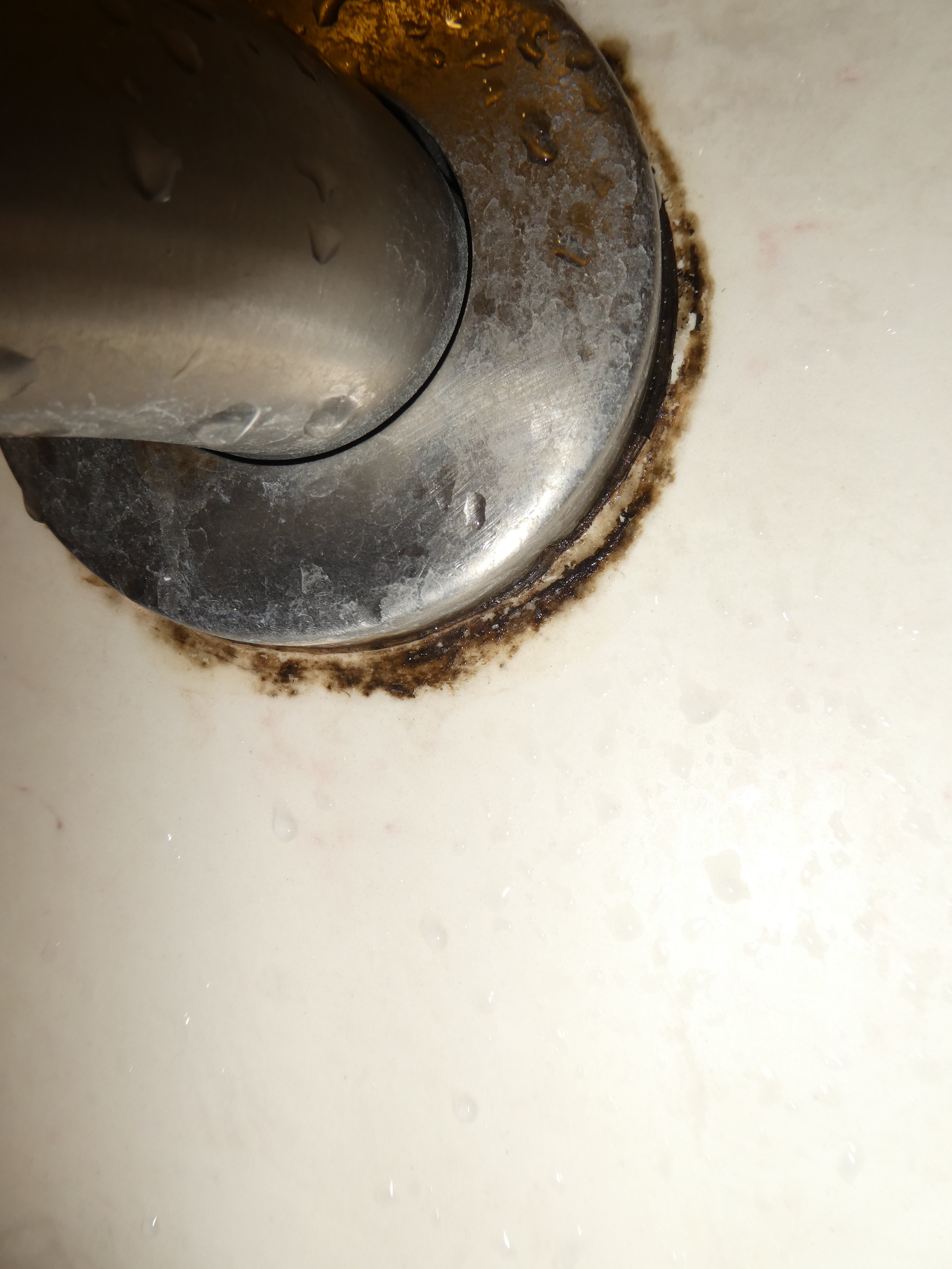 Quality Inn and Suites Mount Dora-浴室