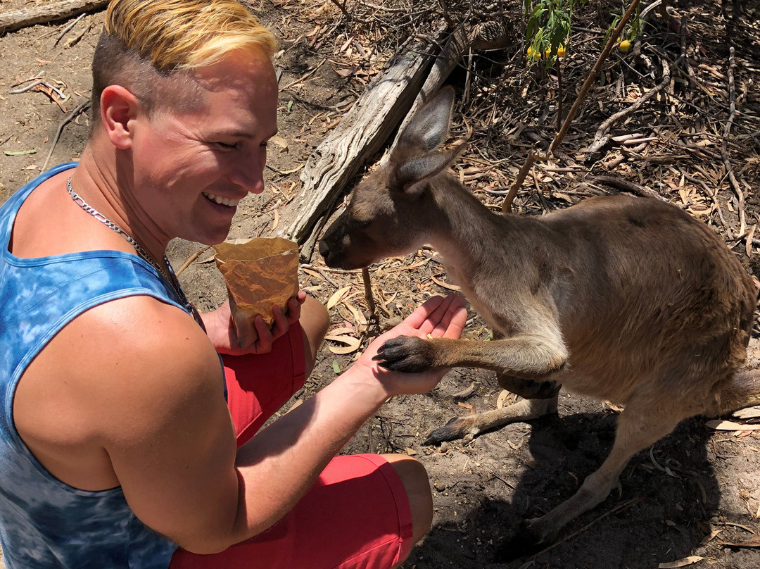 Urimbirra Wildlife Park-维克多港必去景点