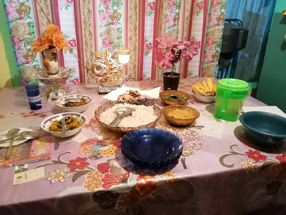 Ella Eco Domes主图