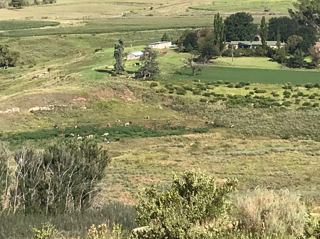 De Molen Farm Clarens主图