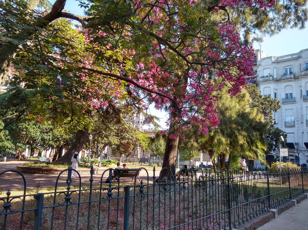 Alma Historica Boutique Hotel主图