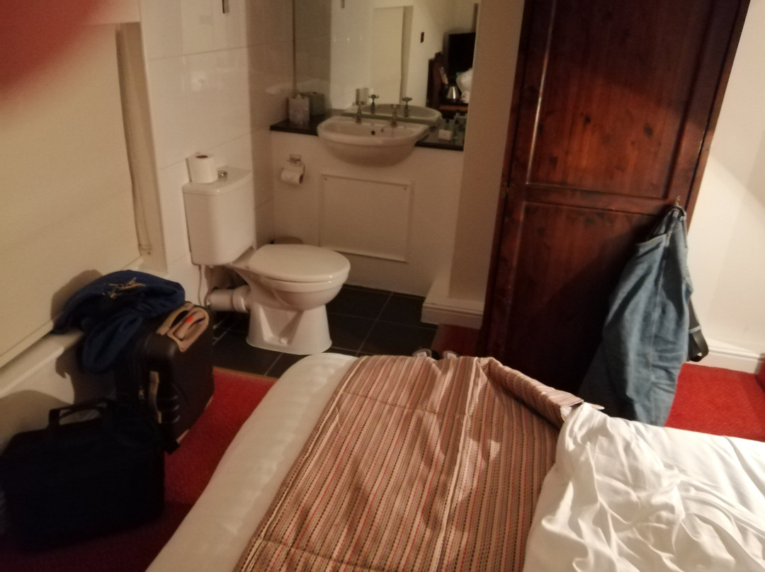 皇家白狮酒店主图