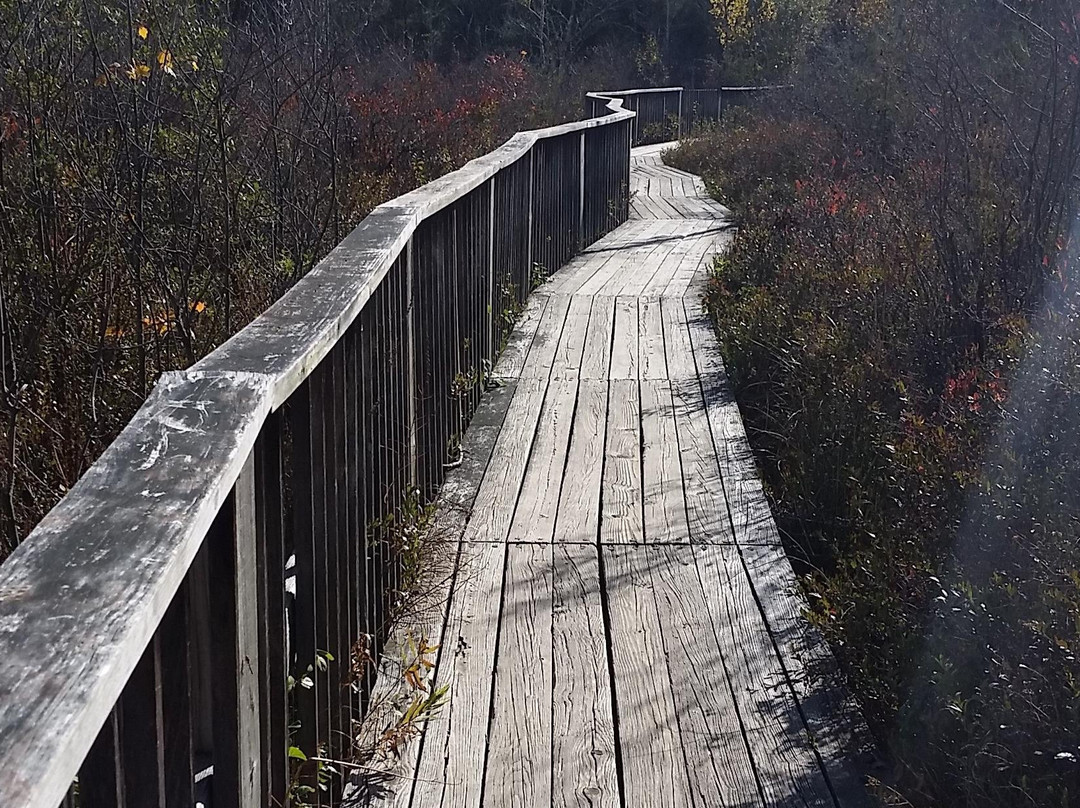 Roger's Wicked Fun Tours-普利茅斯必去景点