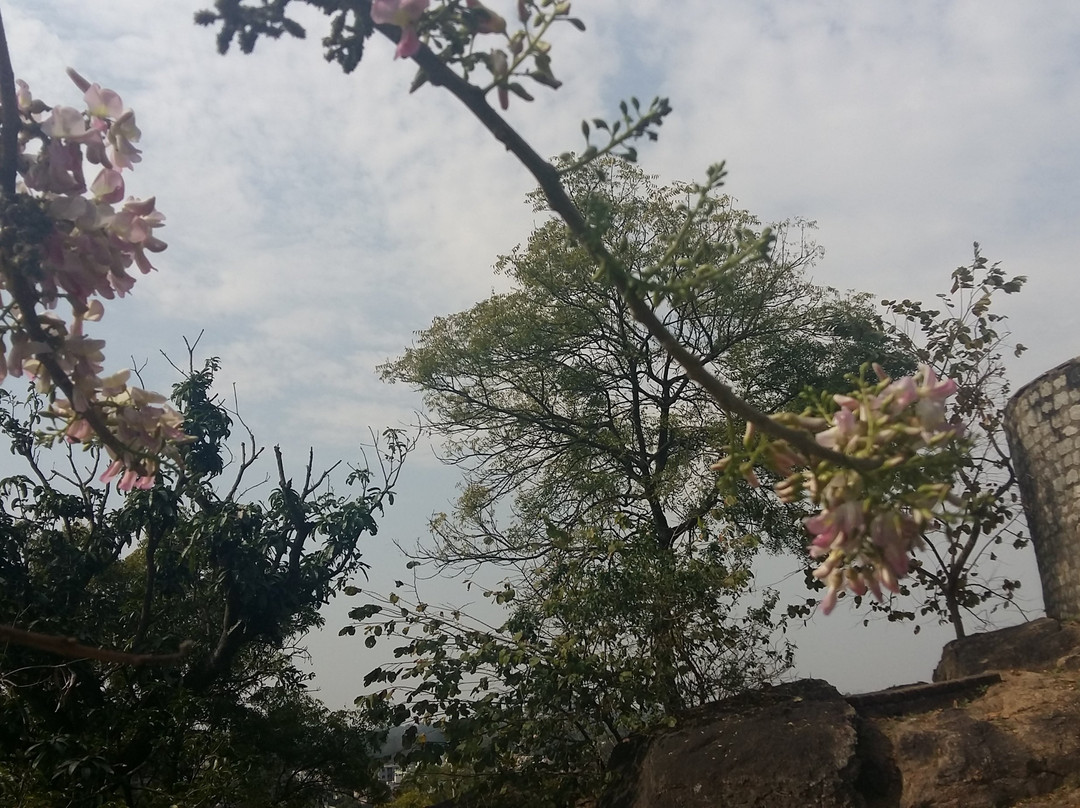 Tagore Hill景点图片