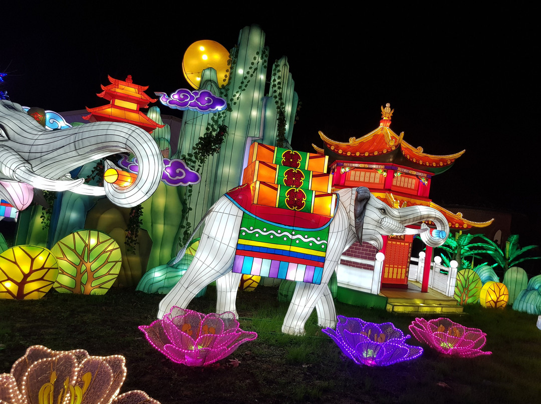 Festival des Lanternes-Gaillac必去景点