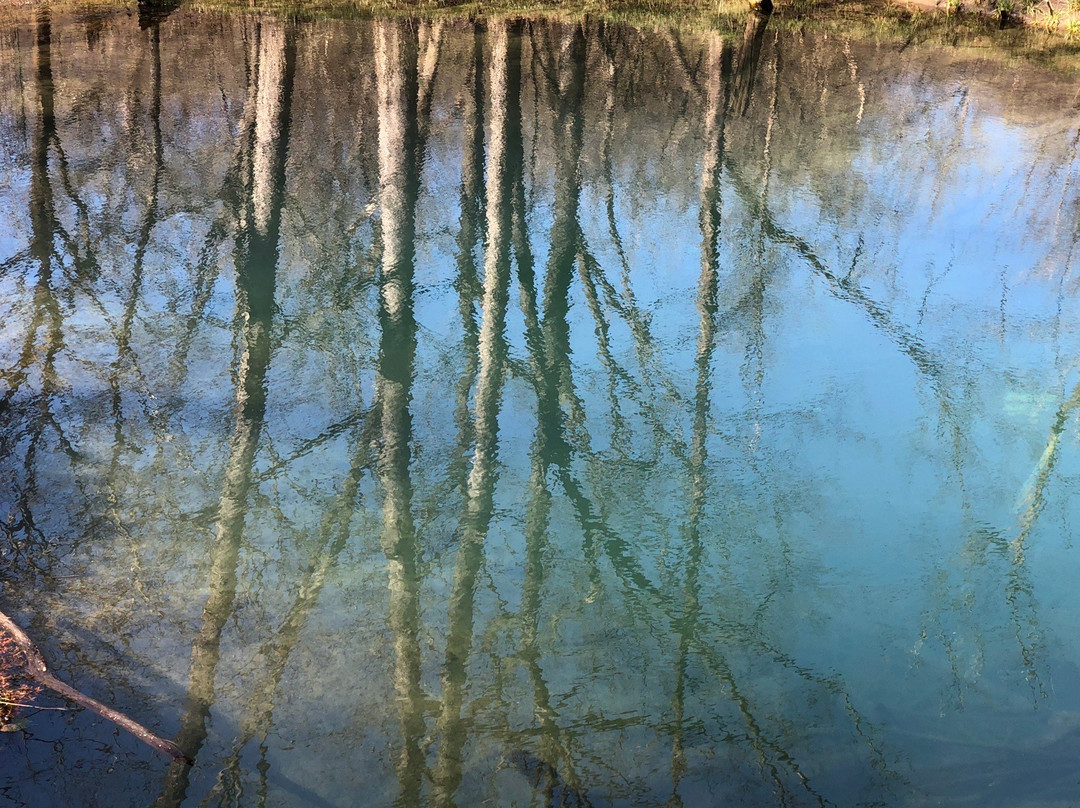 McConnell Springs-列克星敦必去景点