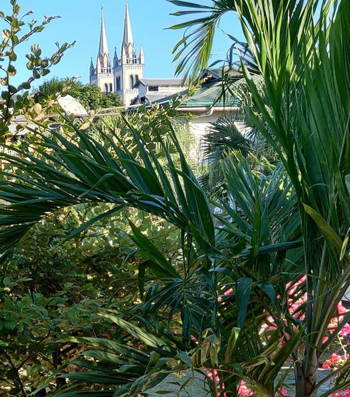 Saint-Peter-and-Paul Basilica of Paramaribo-帕拉马里博必去景点
