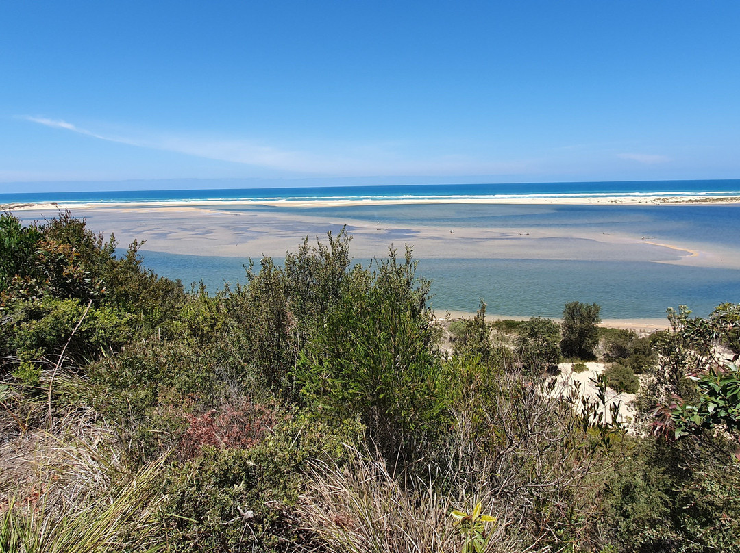 Snowy River Estuary Walk景点图片