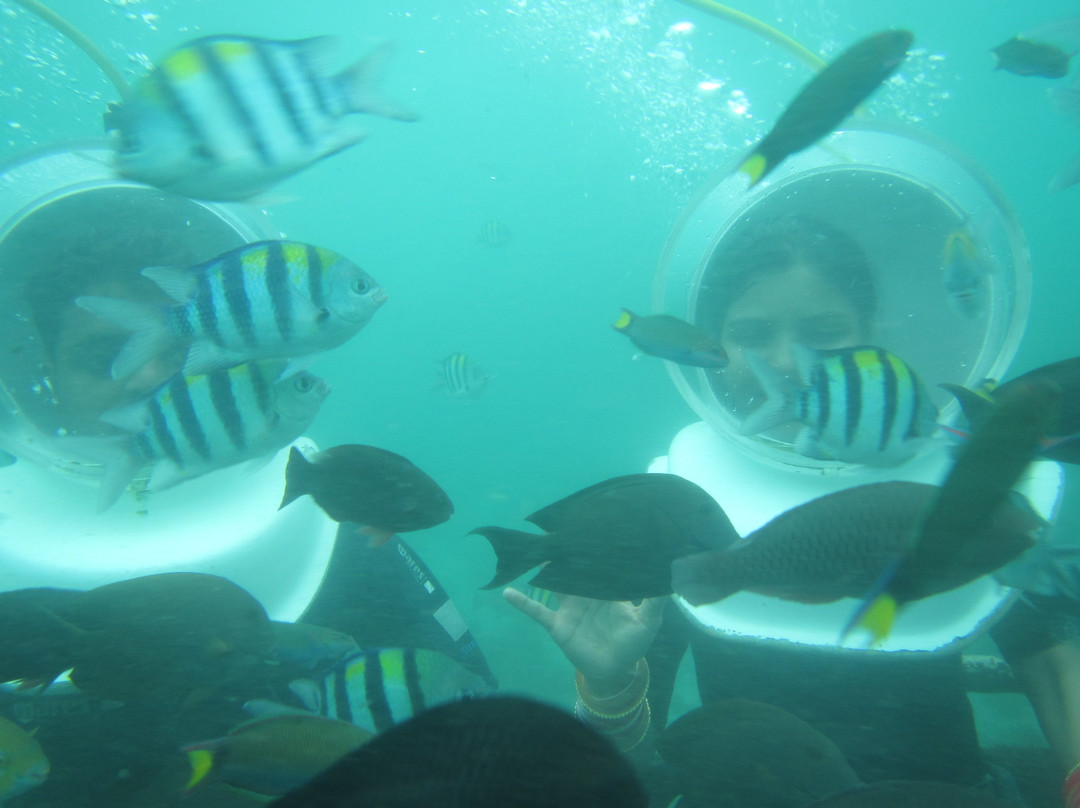 Bali Water Sport and Tour-图班必去景点