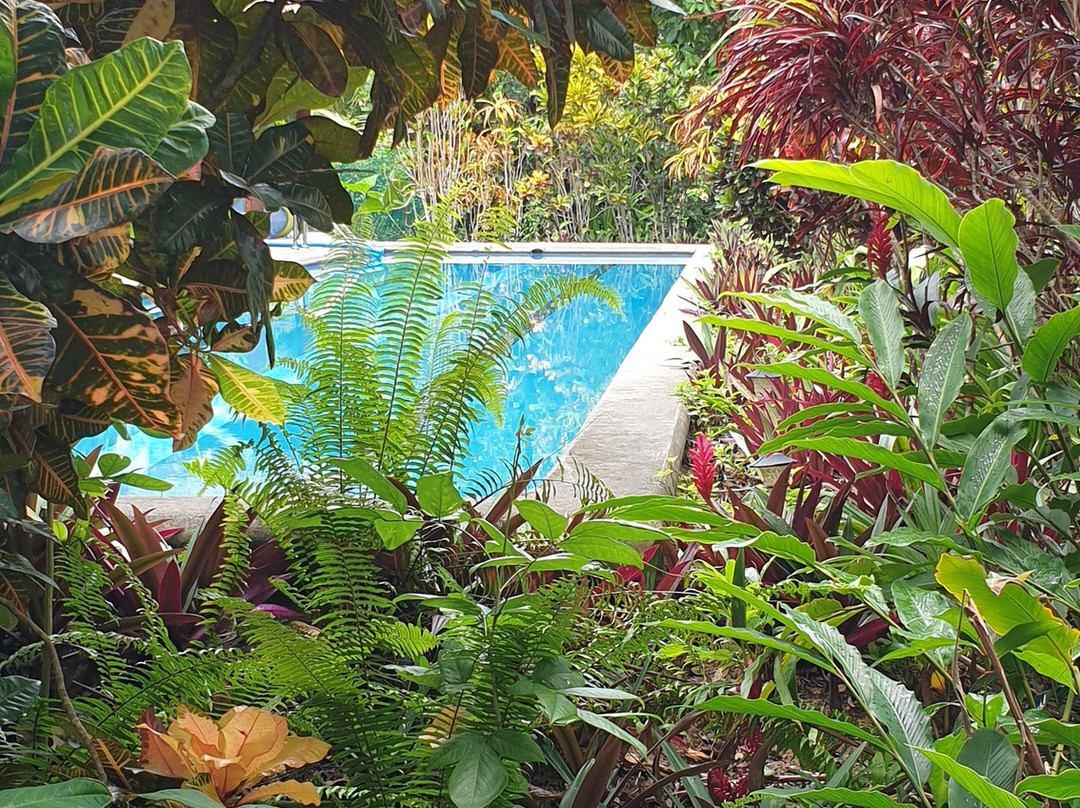 Bluff Beach Retreat主图