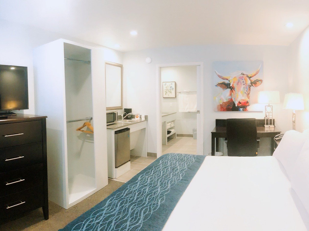 Three Palms Inn主图