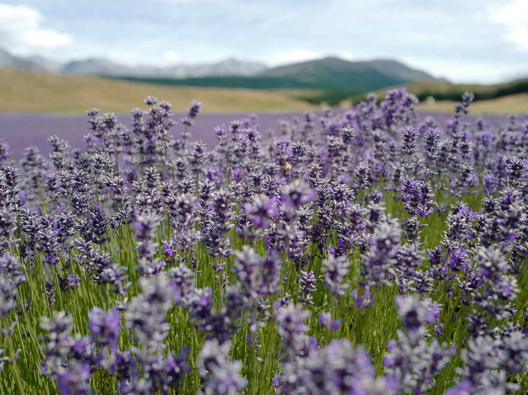 Mount Cook National Park-库克敦必去景点