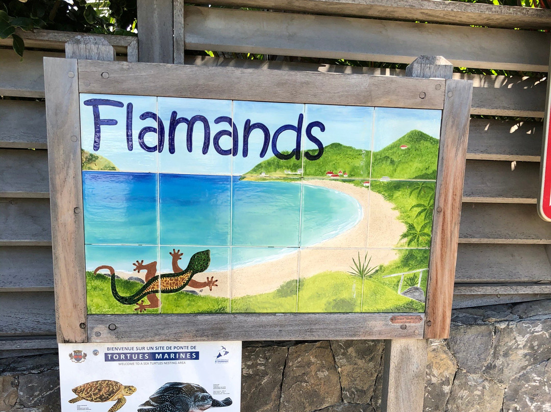 Anse des Flamands-圣巴托洛缪岛必去景点