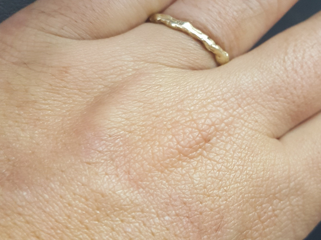 Kwintner-雅法必去景点