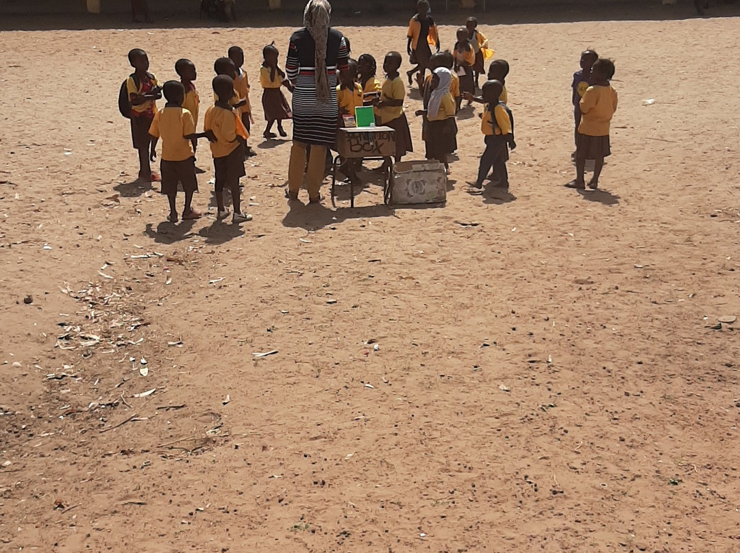 Gambia View Tours景点图片