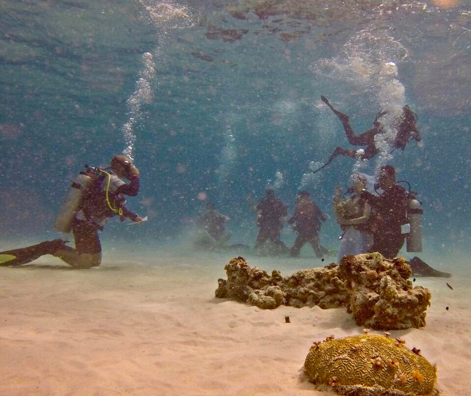 Central Dive Curacao-威廉斯塔德必去景点