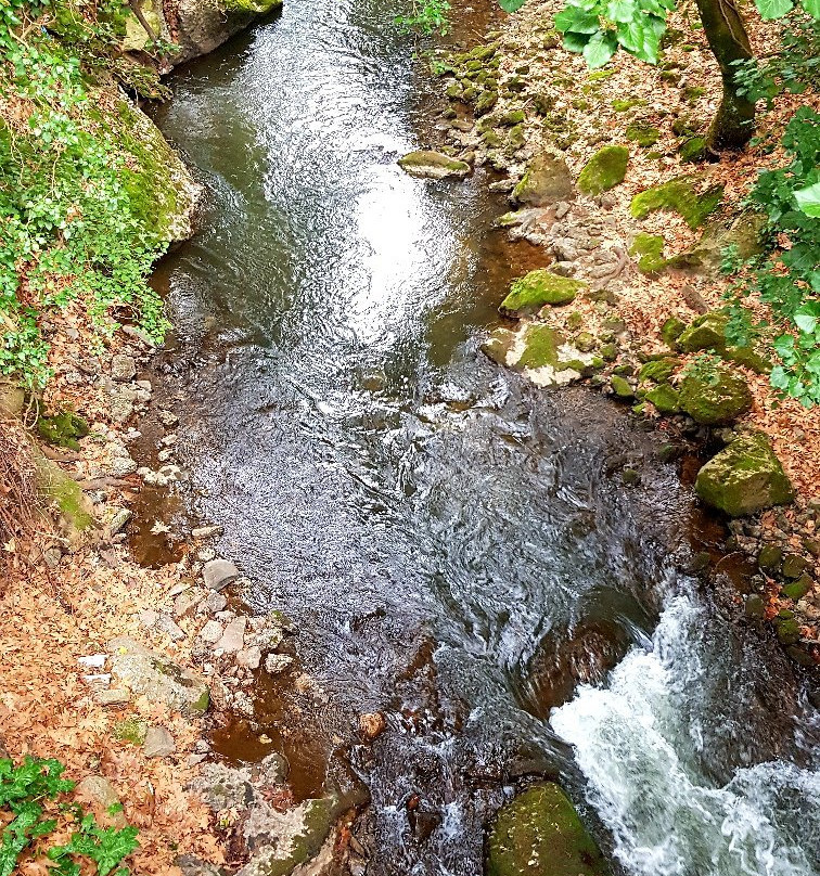 Gorge of Vouraikos-卡拉夫里塔必去景点
