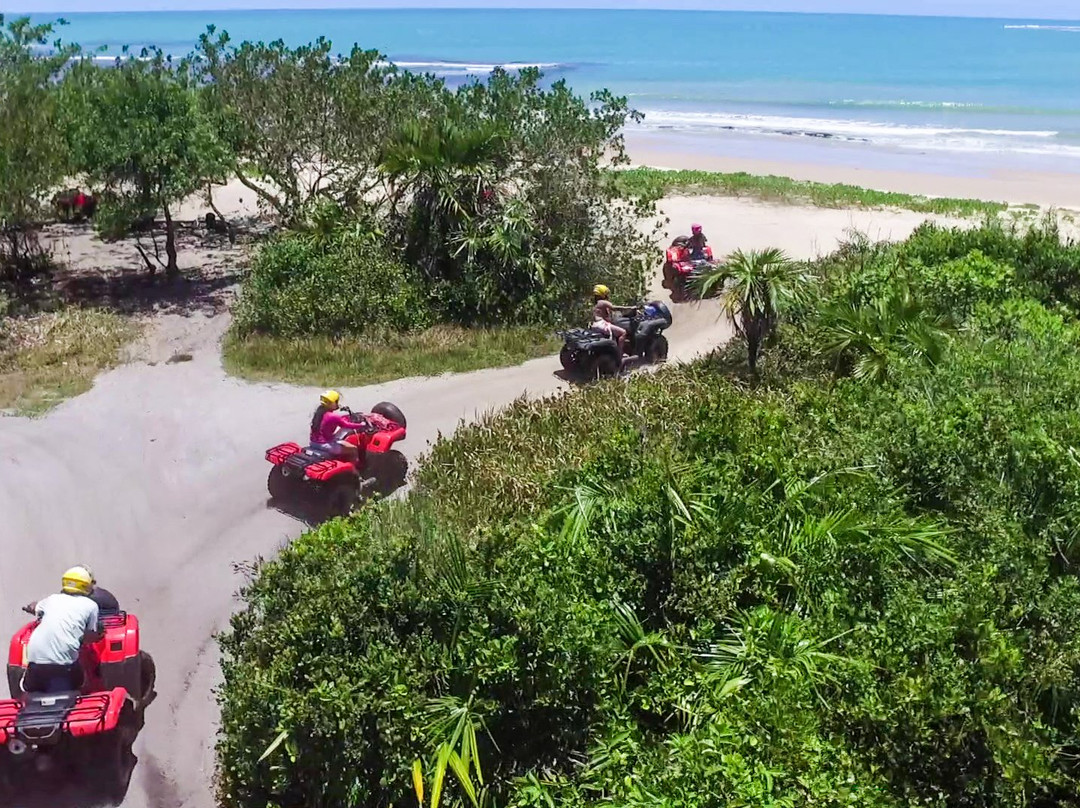 Praia de Patimirim-特兰科苏必去景点
