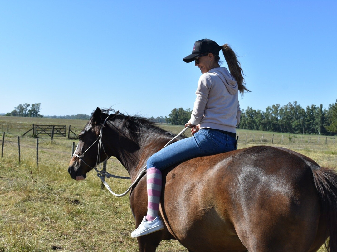 Polo in Buenos Aires景点图片