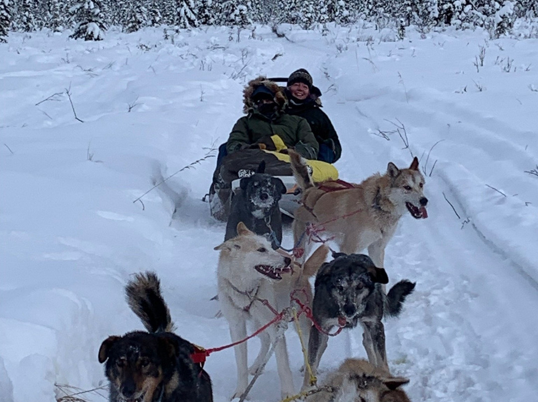 Sled Dog Adventures景点图片