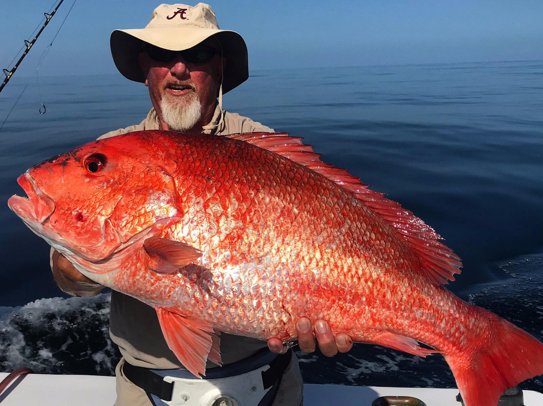 Charter Boat Backlash - Destin Offshore Charters - Captain Chris Kirby景点图片