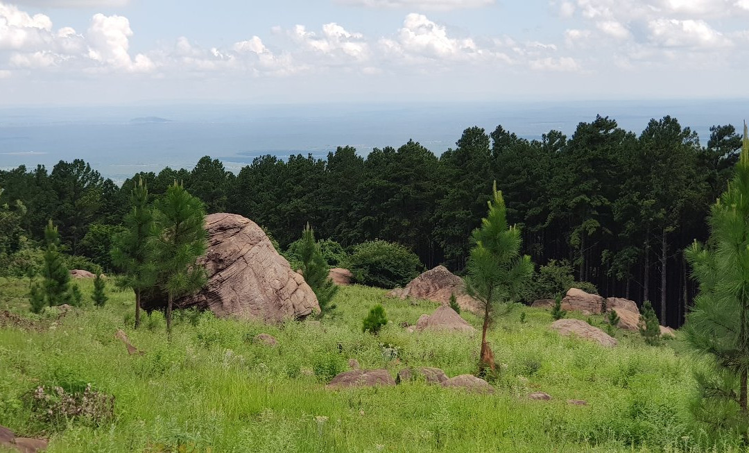 Hanglip Forest Reserve