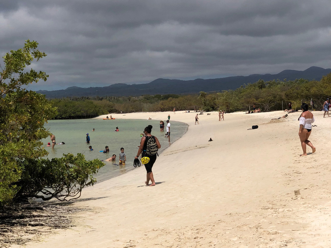 Playa las Bachas景点图片