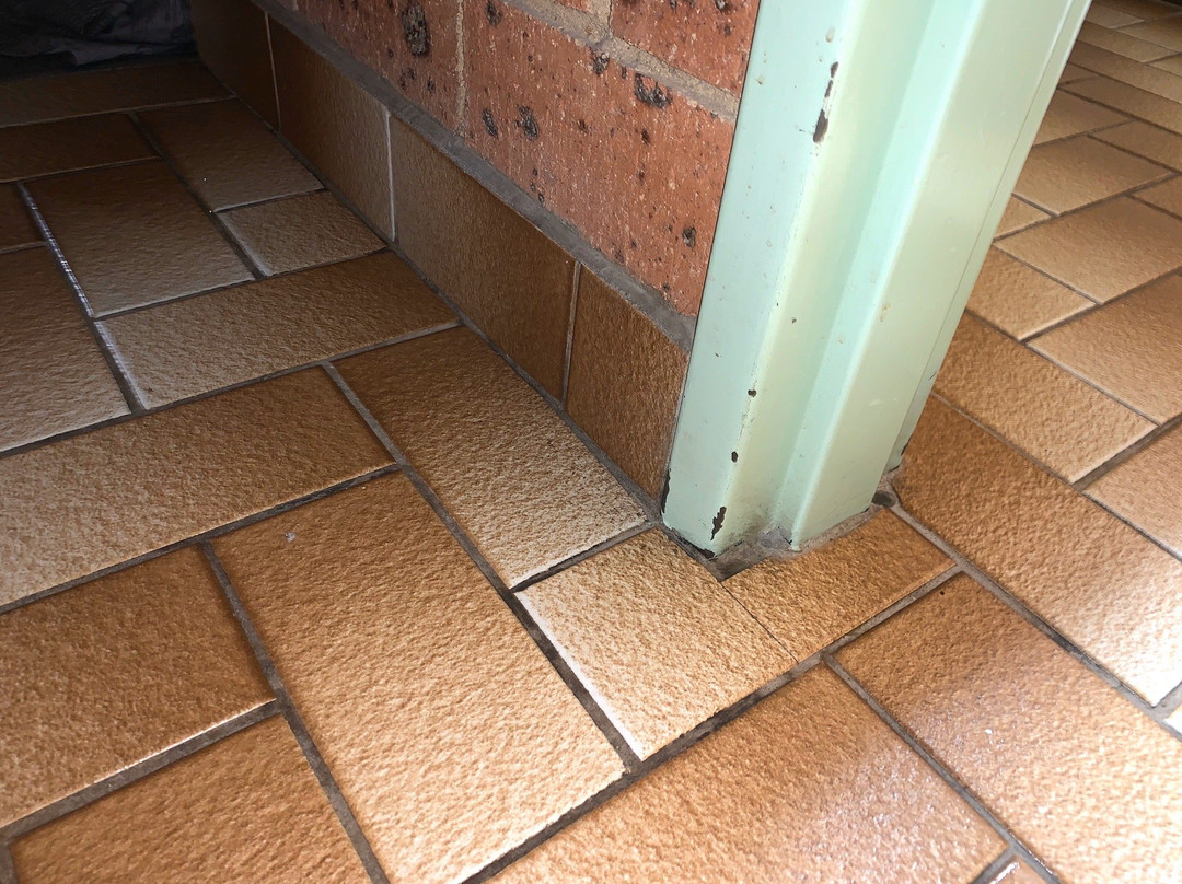 Alexandra Motor Inn主图