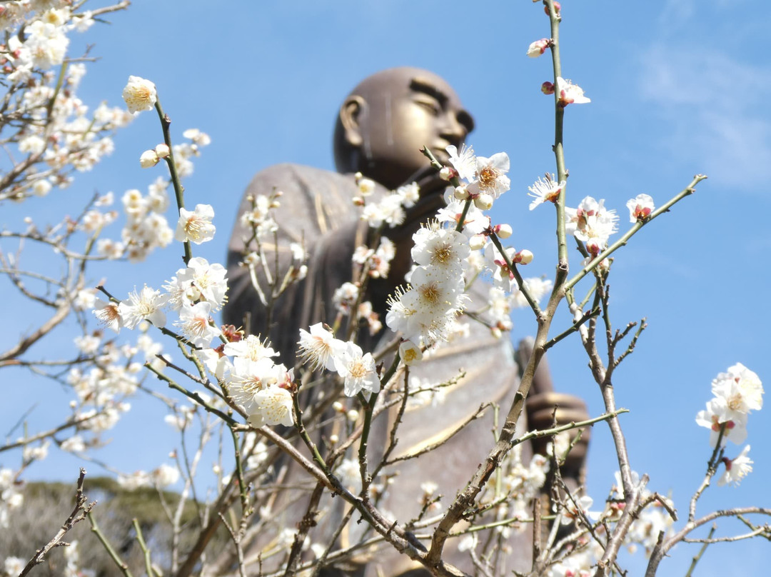 Myohonji Temple景点图片
