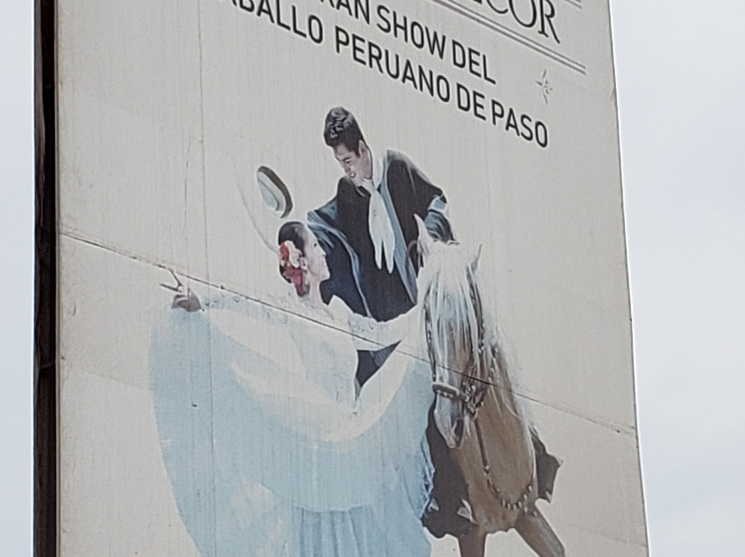 Caballos Peruanos De Paso-特鲁希略必去景点