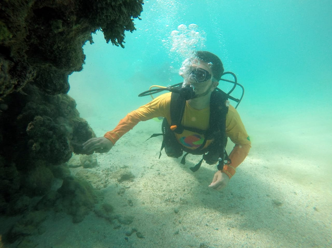 Milagres Mergulho-Sao Miguel dos Milagres必去景点