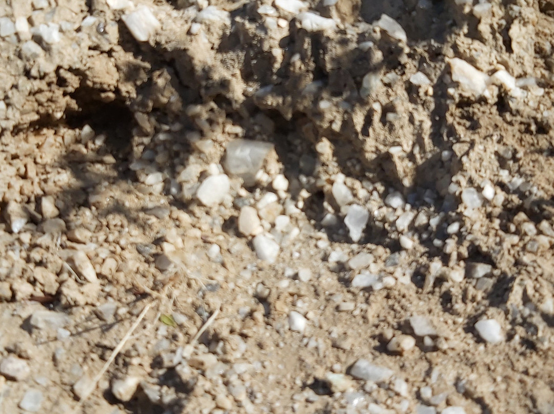 Ruta del Cuarzo-Pichidangui必去景点