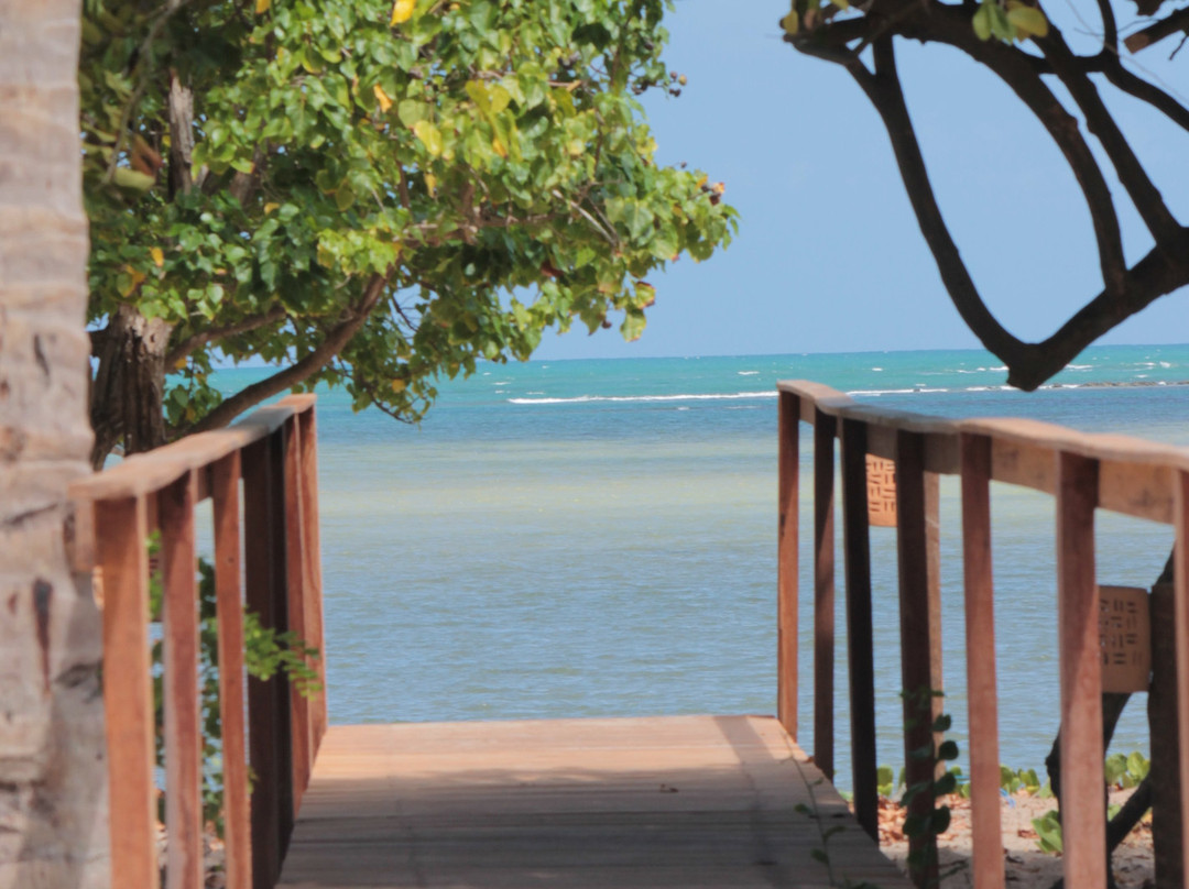 Pousada Patacho主图