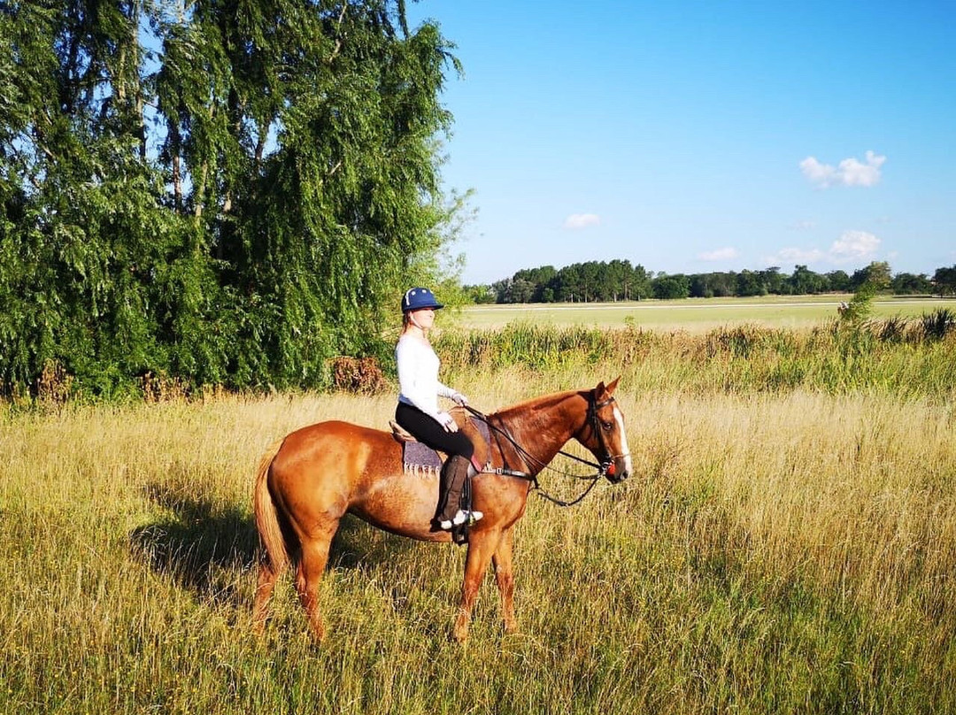 La Amistad Polo-Pilar必去景点