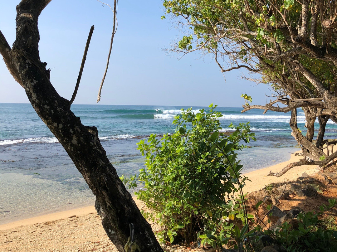 Mirissa Snorkeling Tours-美蕊沙必去景点