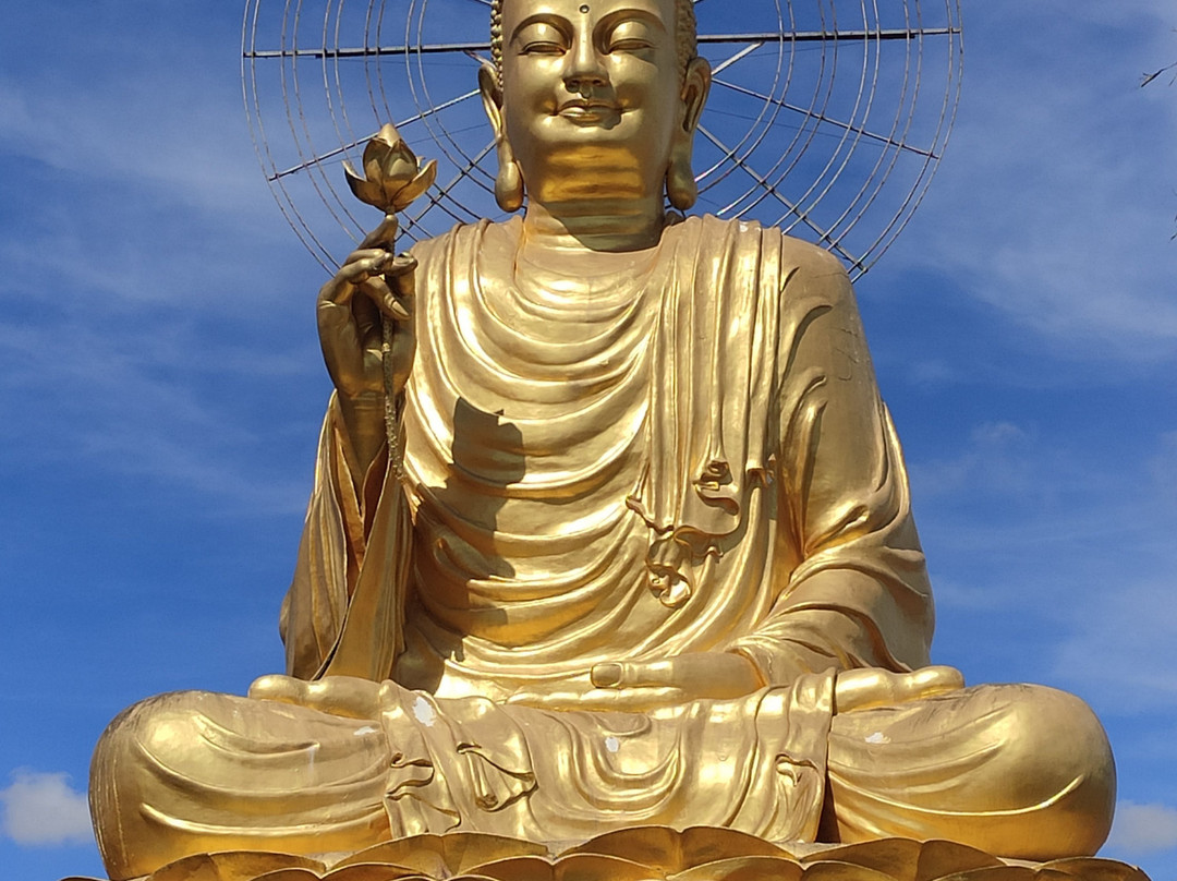 大叻金佛像景点图片