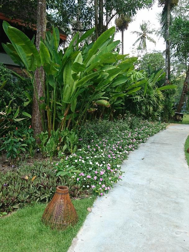 彼得潘和胡克船长度假村主图