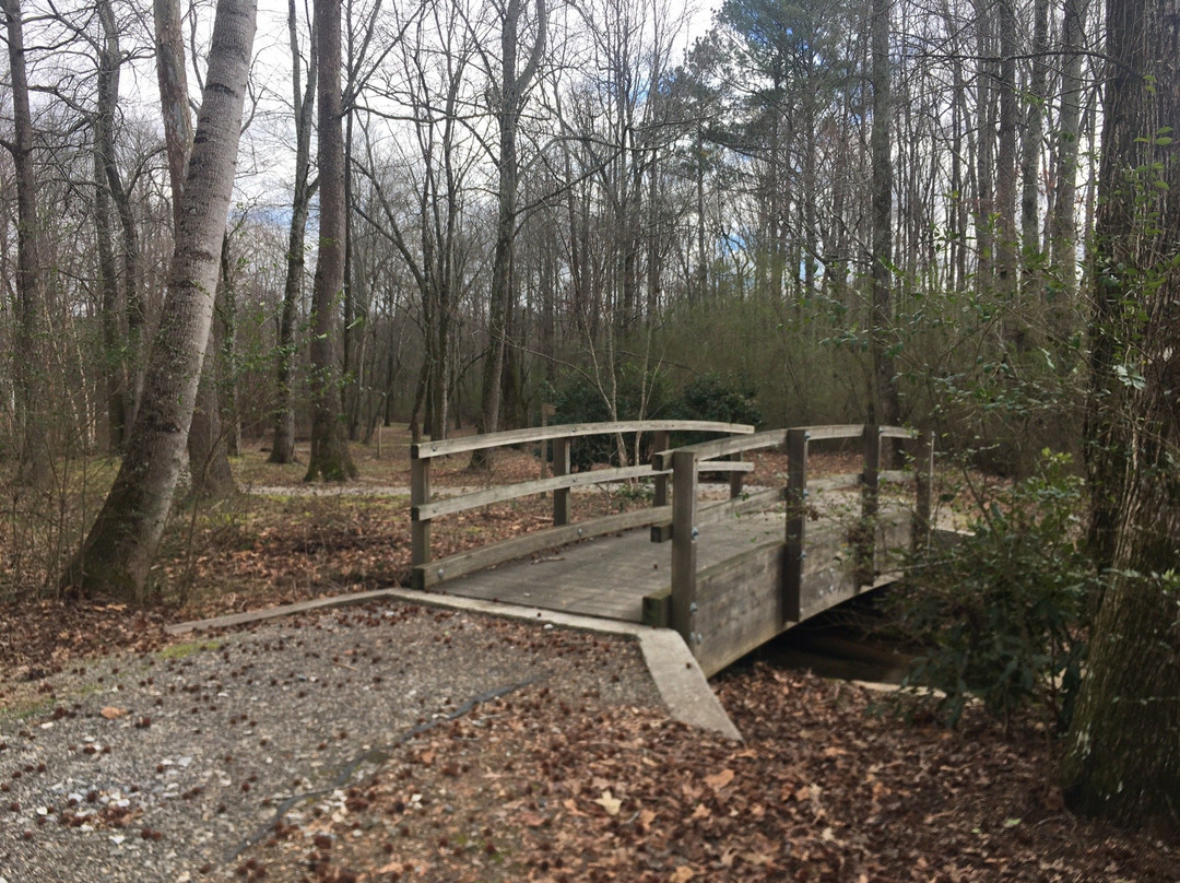 Midway Park-卡明必去景点