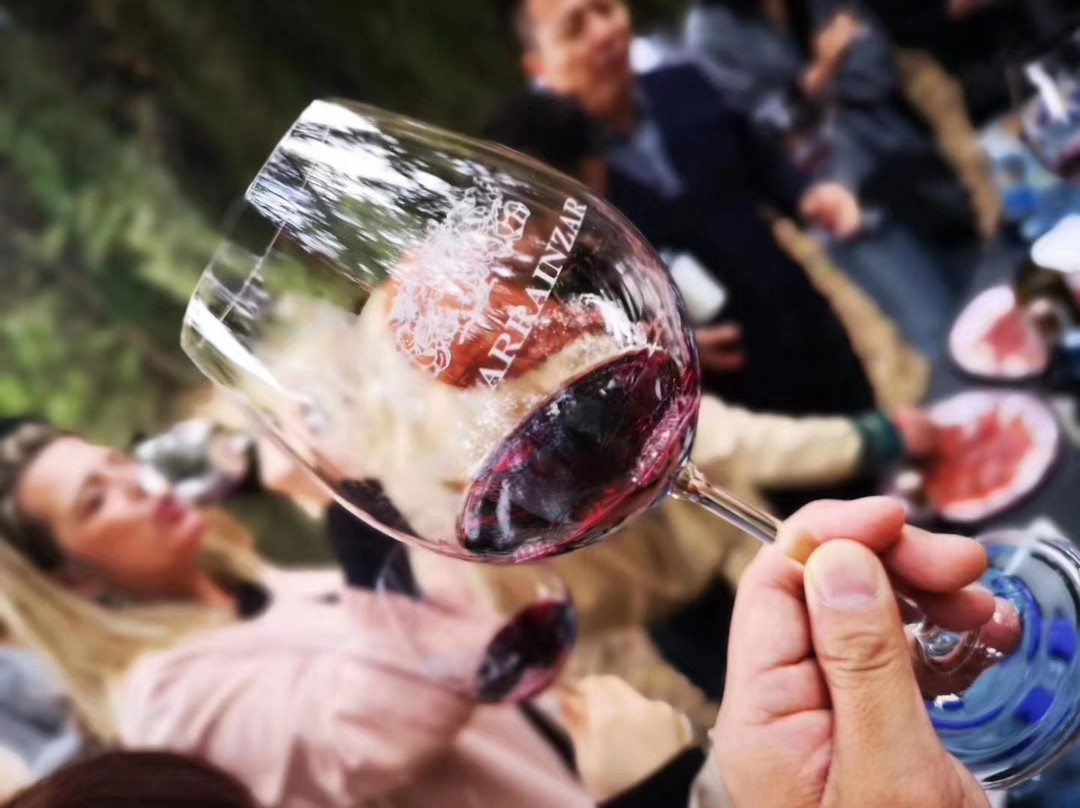 Bodegas Pago de Larrainzar-Ayegui必去景点