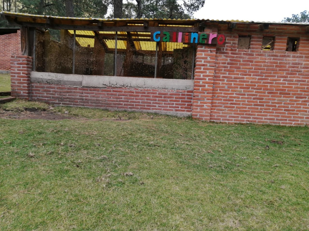 Rancho Didáctico La Poza Del Indio-墨西哥城必去景点