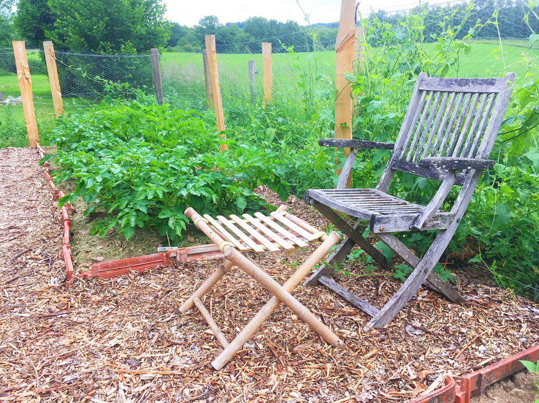 Domaine Les Filloux主图