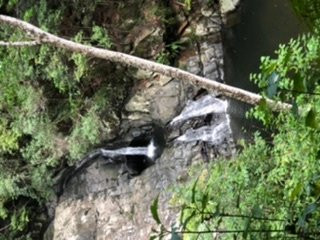 Cougal Cascades-可伦宾必去景点