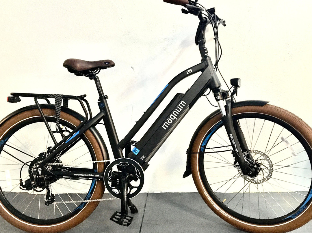 Big Bam eBikes-威尼斯必去景点