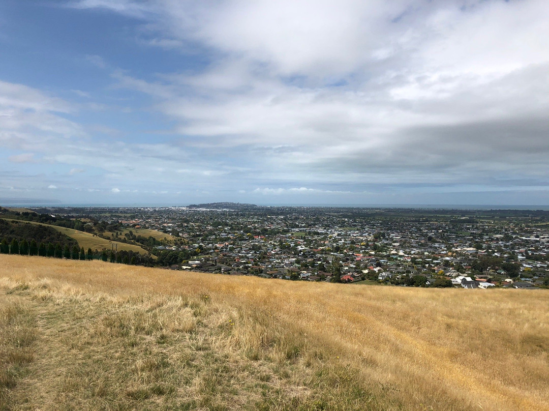 Otatara Pa Historic Reserve Walk景点图片