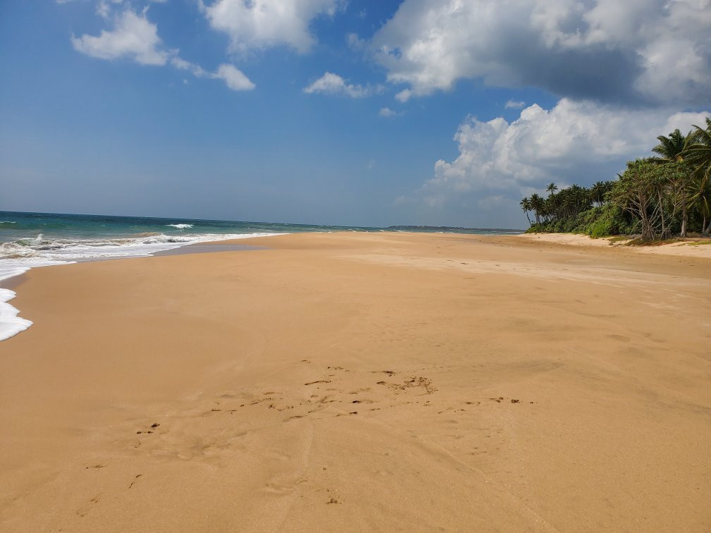 Paddy House Villa Home Stay主图