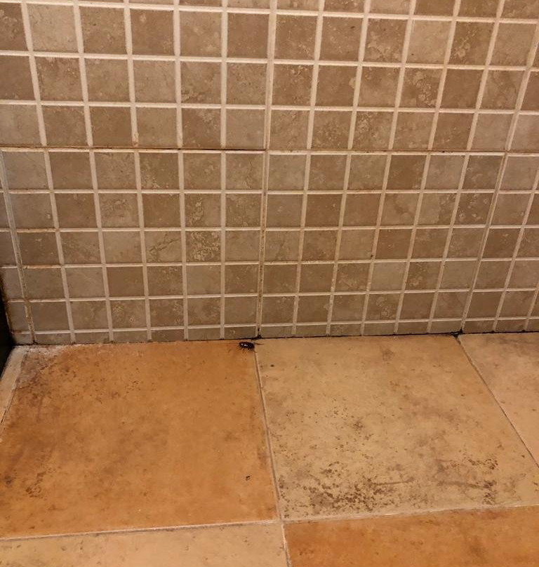 Treebo Premium Travancore Palace Cherthala主图