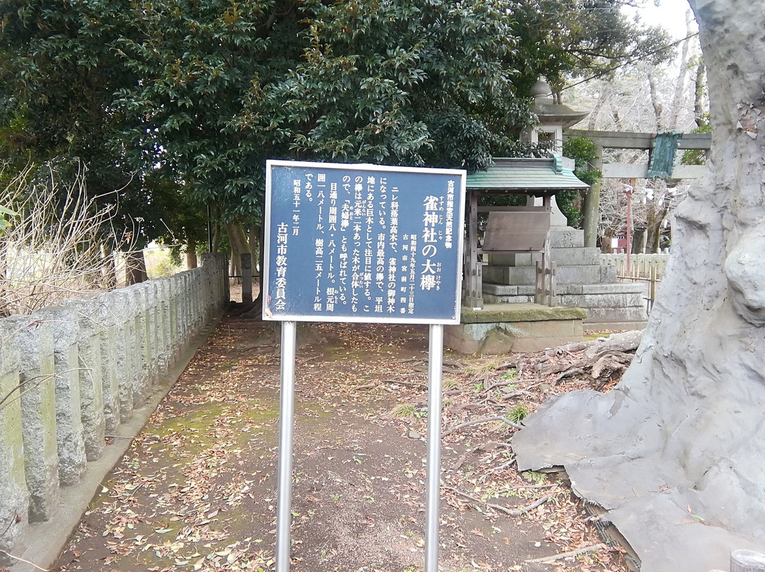 Suzume Shrine-古河市必去景点