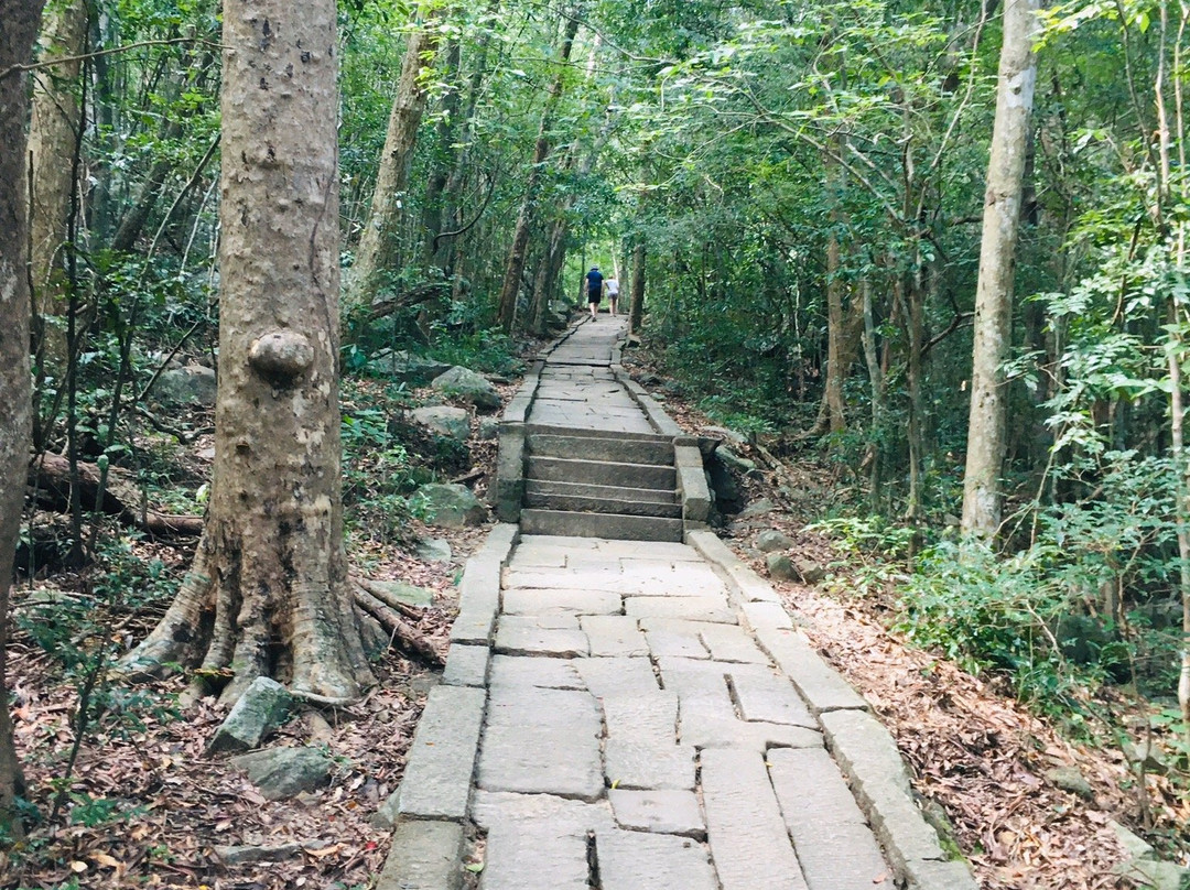 Nature Paradise Tours-康提必去景点