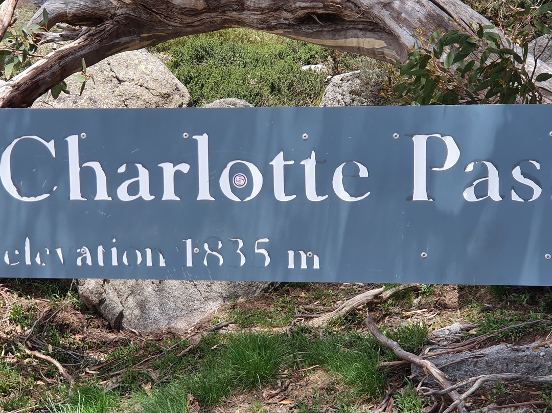 Charlotte Pass Ski Resort景点图片