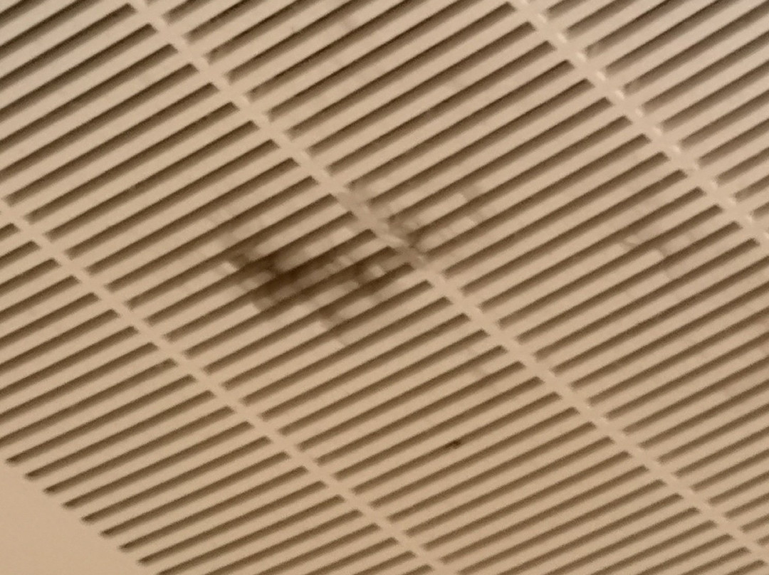 罗阿诺克拉匹兹希尔顿恒庭酒店主图